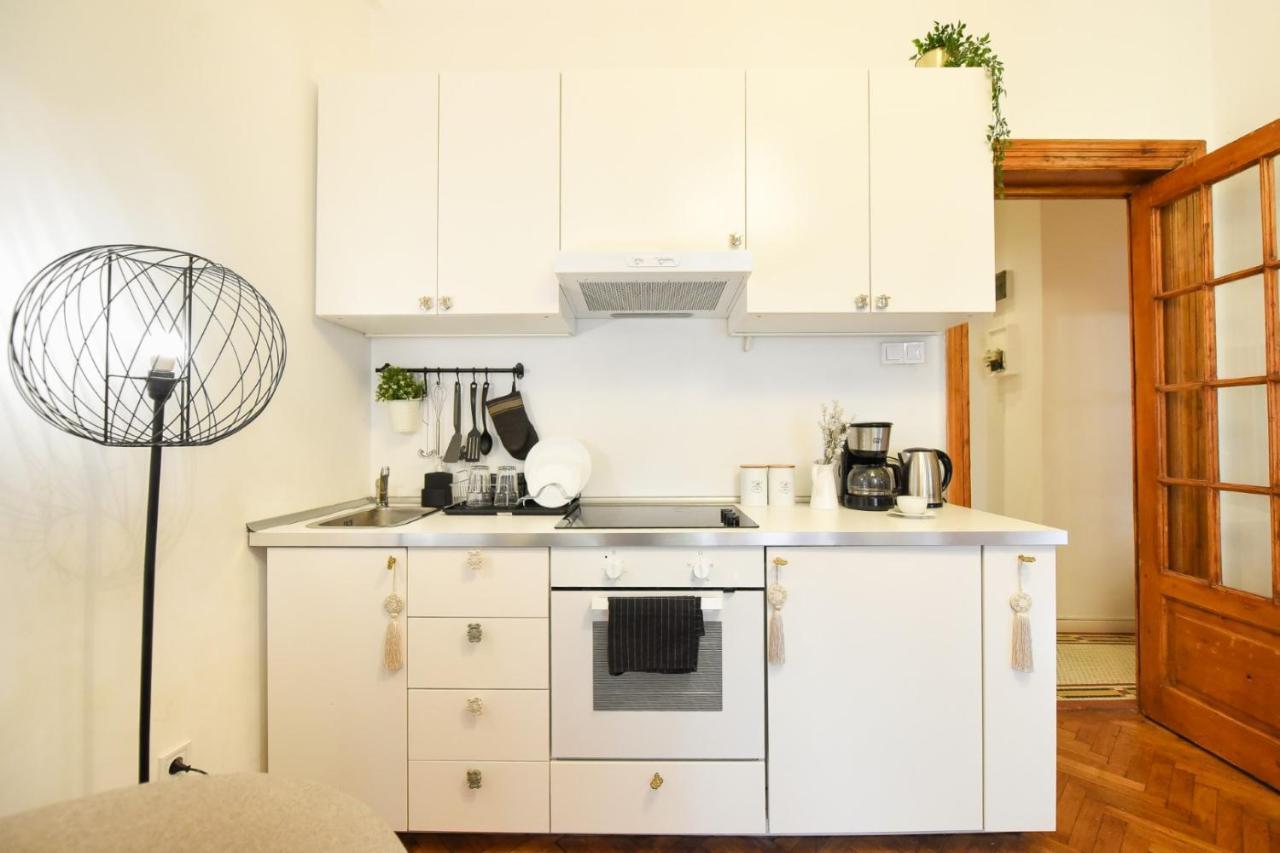 Vintage Elegance, Modern Comfort: 1Br Apartment Overlooking Calea Victoriei Bukarest Exteriör bild